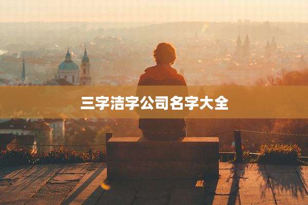 三字洁字公司名字大全