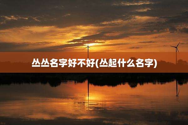 丛丛名字好不好(丛起什么名字)