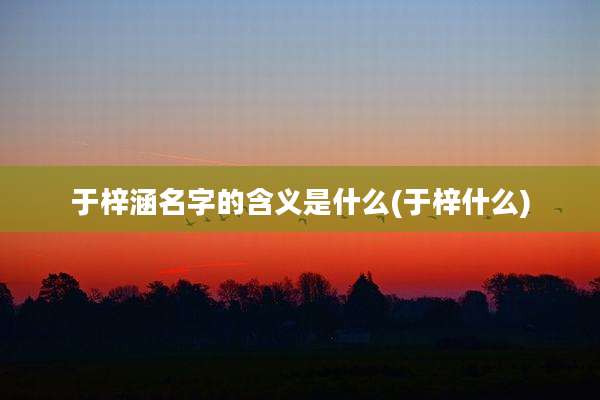 于梓涵名字的含义是什么(于梓什么)