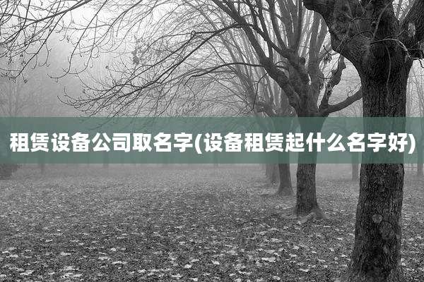 租赁设备公司取名字(设备租赁起什么名字好)