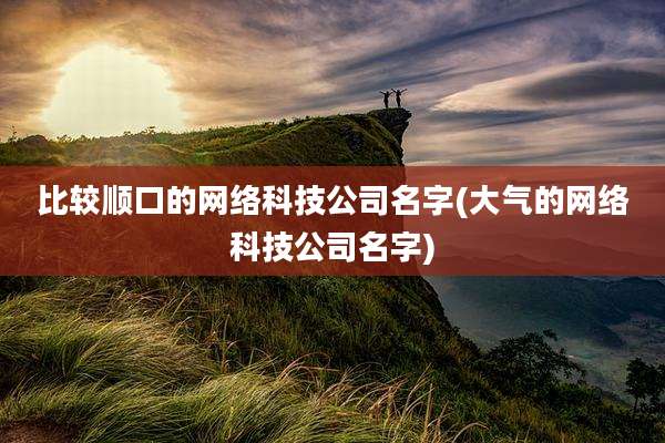 比较顺口的网络科技公司名字(大气的网络科技公司名字)