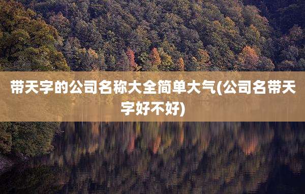 带天字的公司名称大全简单大气(公司名带天字好不好)