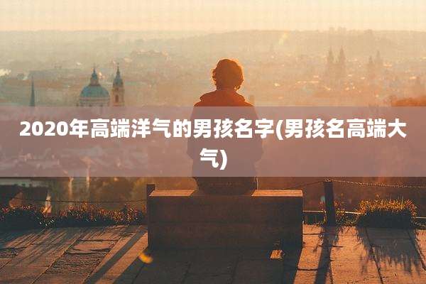 2020年高端洋气的男孩名字(男孩名高端大气)