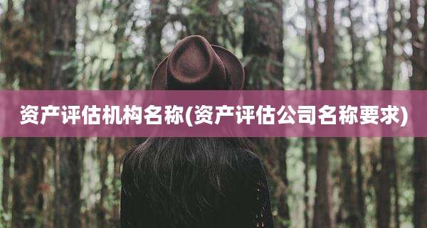 资产评估机构名称(资产评估公司名称要求)
