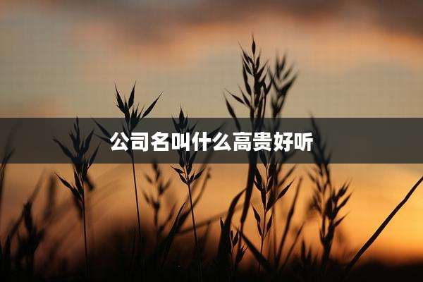公司名叫什么高贵好听