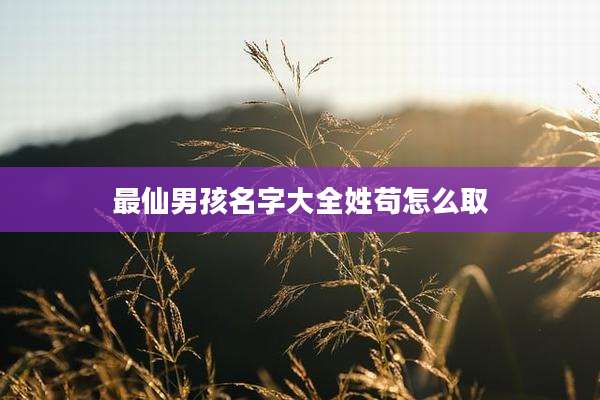 最仙男孩名字大全姓苟怎么取