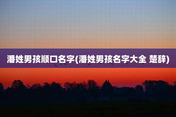 潘姓男孩顺口名字(潘姓男孩名字大全 楚辞)