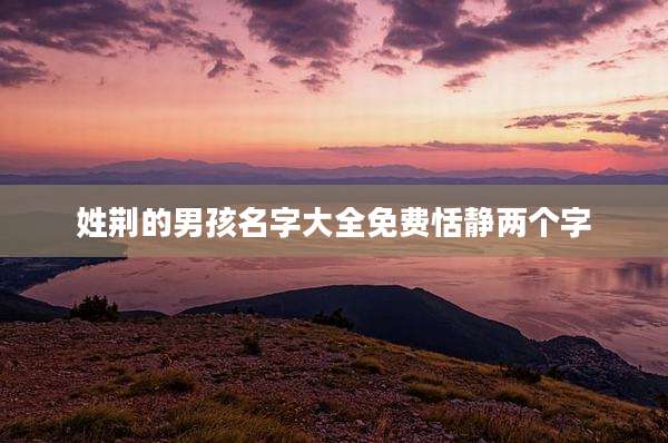 姓荆的男孩名字大全免费恬静两个字