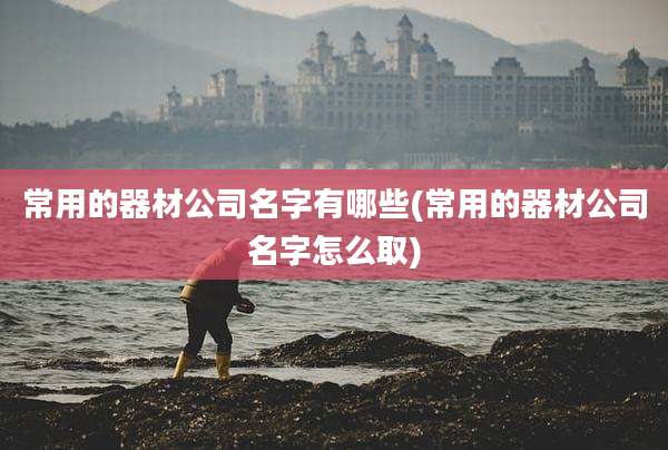 常用的器材公司名字有哪些(常用的器材公司名字怎么取)