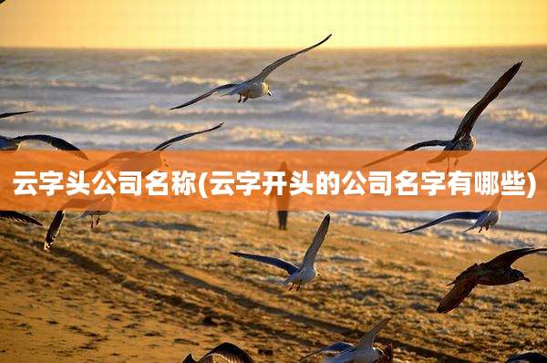 云字头公司名称(云字开头的公司名字有哪些)