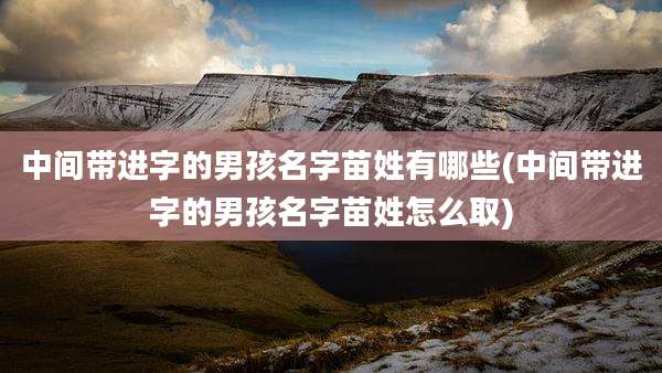 中间带进字的男孩名字苗姓有哪些(中间带进字的男孩名字苗姓怎么取)