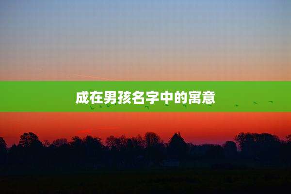 成在男孩名字中的寓意