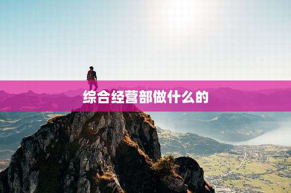 综合经营部做什么的