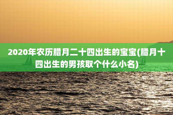 2020年农历腊月二十四出生的宝宝(腊月十四出生的男孩取个什么小名)