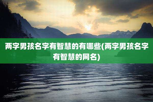 两字男孩名字有智慧的有哪些(两字男孩名字有智慧的网名)