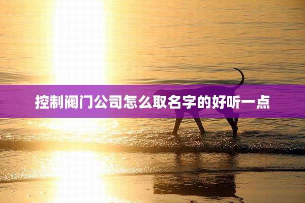 控制阀门公司怎么取名字的好听一点