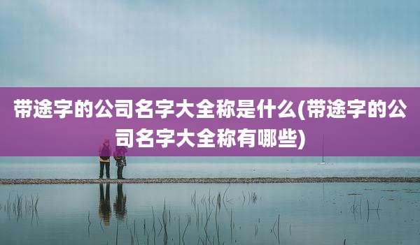 带途字的公司名字大全称是什么(带途字的公司名字大全称有哪些)