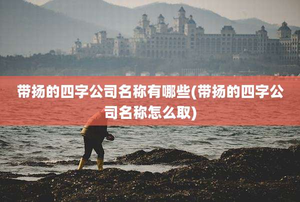 带扬的四字公司名称有哪些(带扬的四字公司名称怎么取)