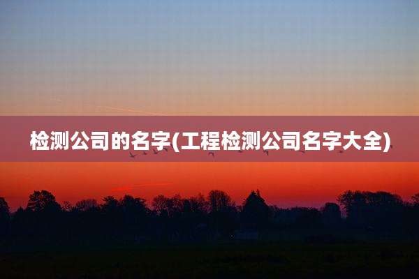 检测公司的名字(工程检测公司名字大全)