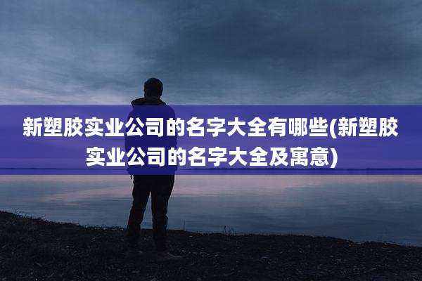 新塑胶实业公司的名字大全有哪些(新塑胶实业公司的名字大全及寓意)