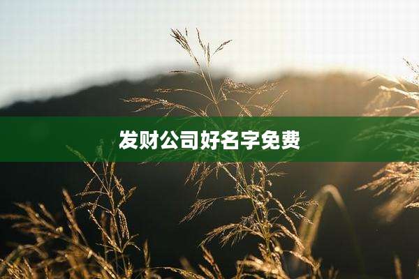 发财公司好名字免费