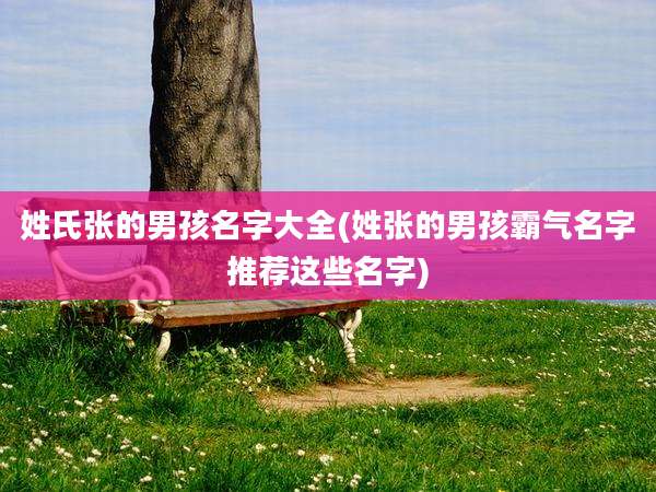 姓氏张的男孩名字大全(姓张的男孩霸气名字推荐这些名字)