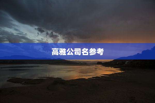 高雅公司名参考
