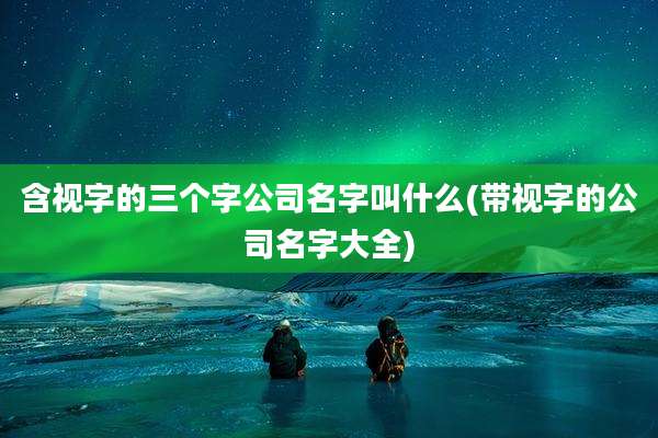 含视字的三个字公司名字叫什么(带视字的公司名字大全)