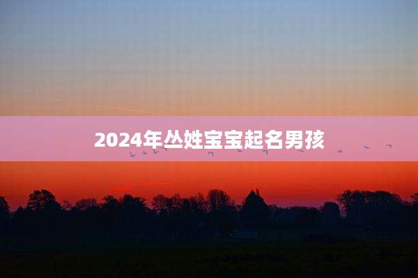 2024年丛姓宝宝起名男孩