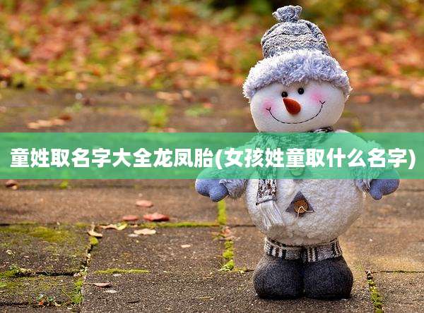 童姓取名字大全龙凤胎(女孩姓童取什么名字)
