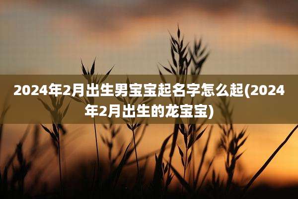 2024年2月出生男宝宝起名字怎么起(2024年2月出生的龙宝宝)