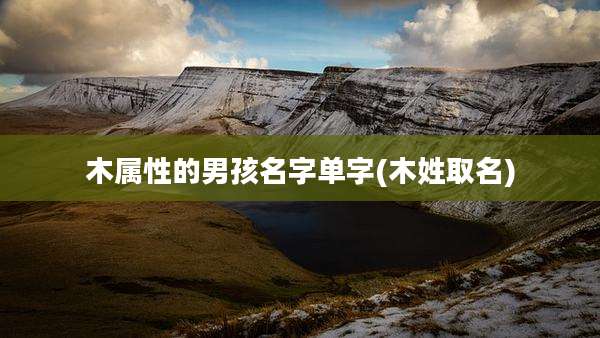 木属性的男孩名字单字(木姓取名)
