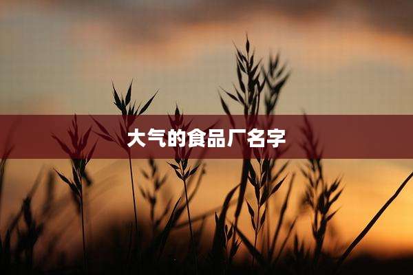 大气的食品厂名字