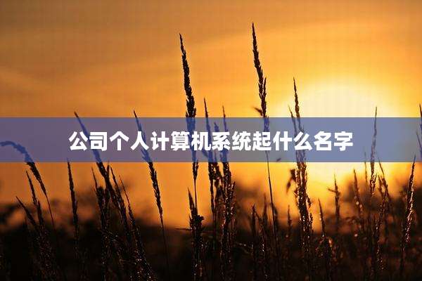 公司个人计算机系统起什么名字