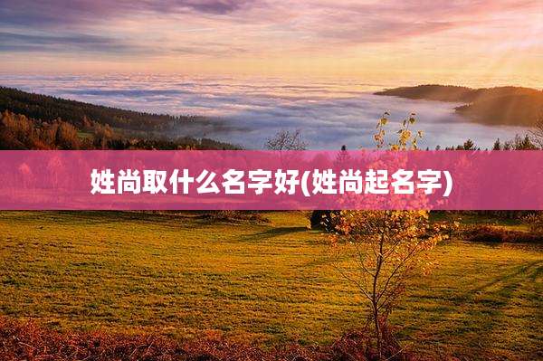 姓尚取什么名字好(姓尚起名字)