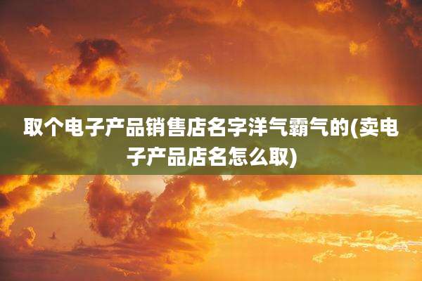 取个电子产品销售店名字洋气霸气的(卖电子产品店名怎么取)