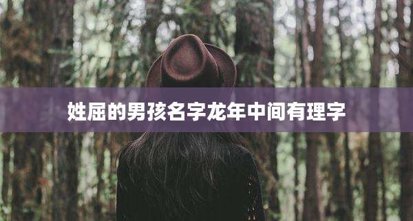 姓屈的男孩名字龙年中间有理字