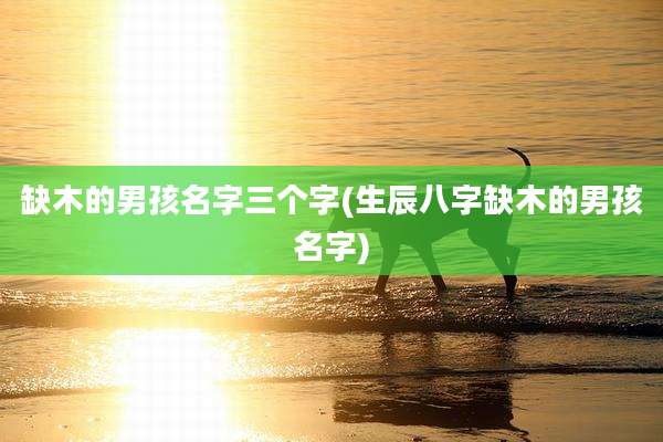 缺木的男孩名字三个字(生辰八字缺木的男孩名字)