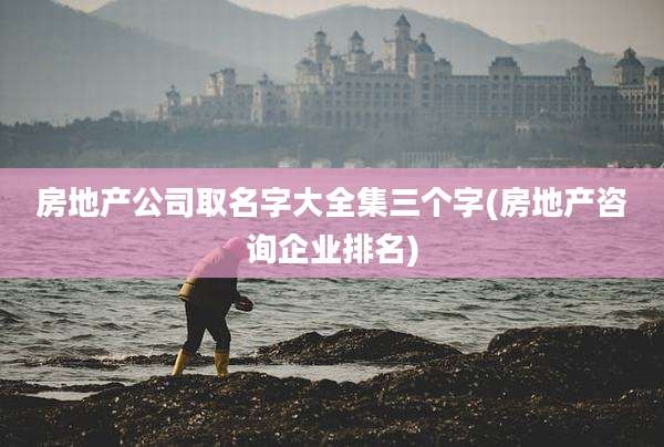 房地产公司取名字大全集三个字(房地产咨询企业排名)