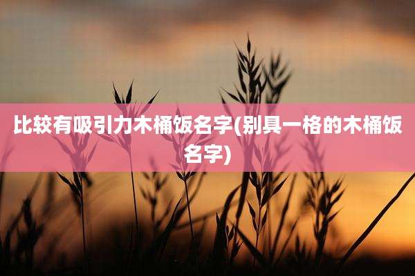 比较有吸引力木桶饭名字(别具一格的木桶饭名字)