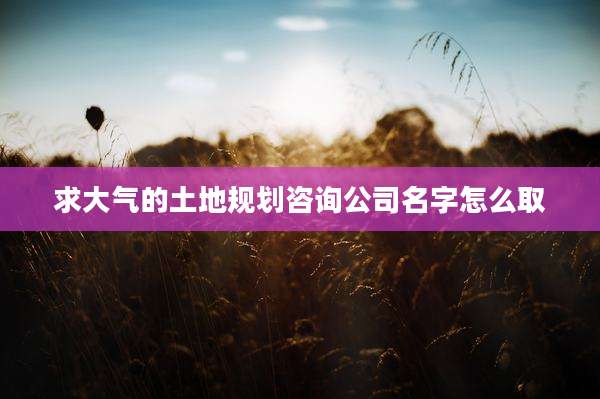 求大气的土地规划咨询公司名字怎么取
