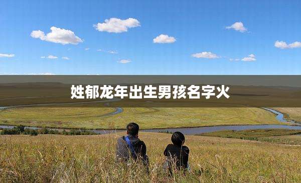姓郁龙年出生男孩名字火
