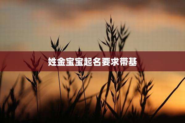 姓金宝宝起名要求带基