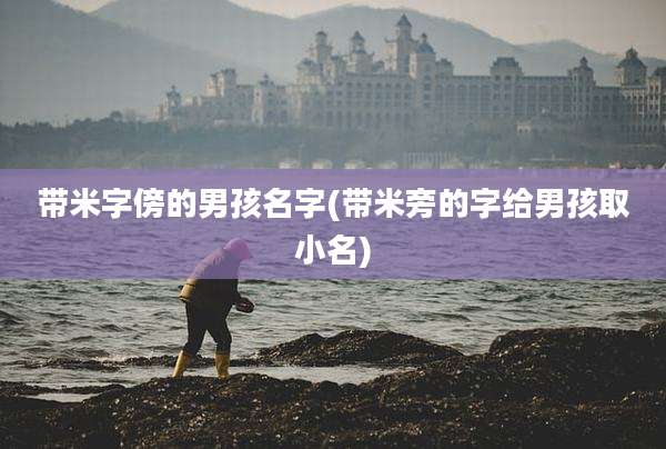 带米字傍的男孩名字(带米旁的字给男孩取小名)