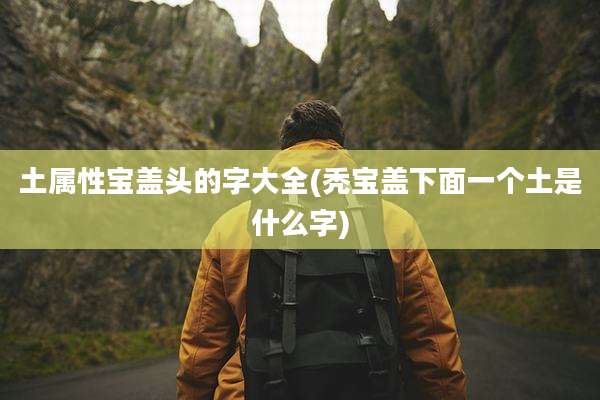 土属性宝盖头的字大全(秃宝盖下面一个土是什么字)