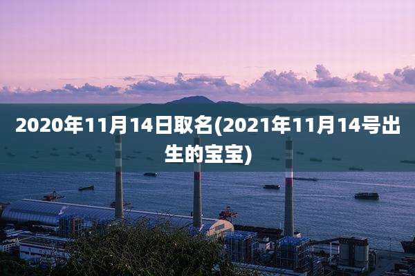 2020年11月14日取名(2021年11月14号出生的宝宝)