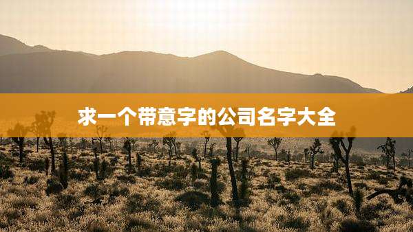 求一个带意字的公司名字大全