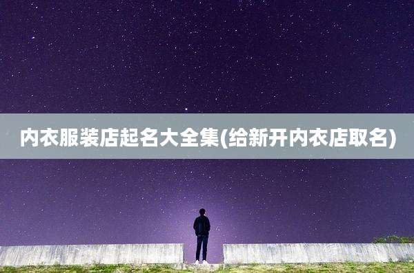 内衣服装店起名大全集(给新开内衣店取名)