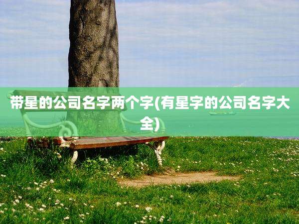 带星的公司名字两个字(有星字的公司名字大全)