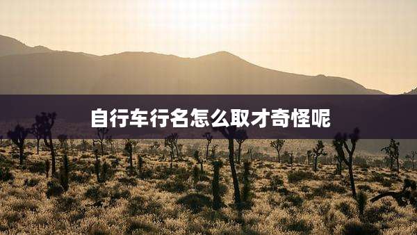 自行车行名怎么取才奇怪呢